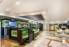 Aparthotel Vanilla