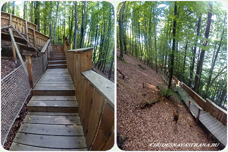 Familywald -    