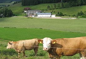 Ferienwohnung am Schneeberg -      