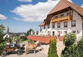 Gasthaus Sonne Neuhausle -    