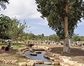 Ma'ayan Harod