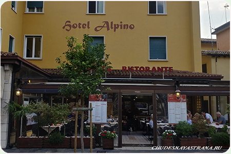  Alpino  M