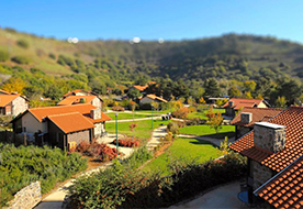 Merom Golan Resort
