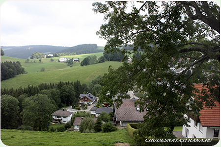     Meierhof 