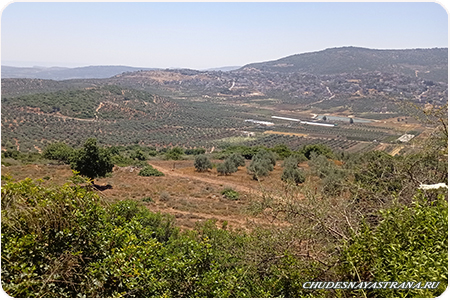    Shirat Roim