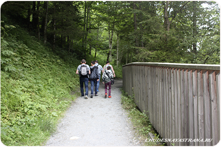 Sigmund-Thun Klamm -    