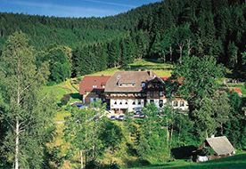 Waldhotel Fehrenbach