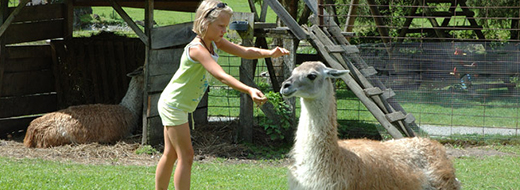Wildpark und Kinderland